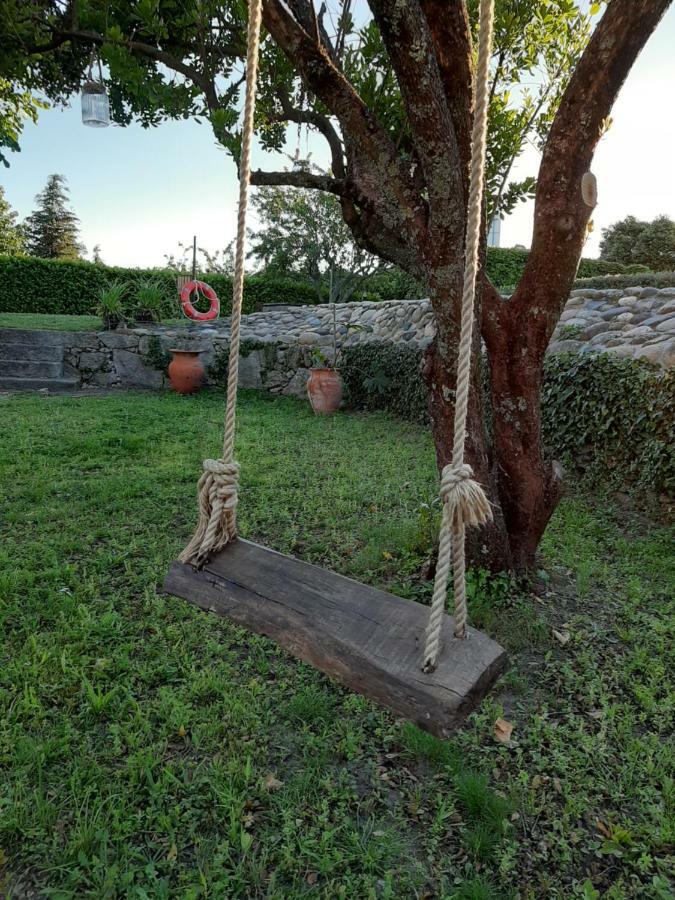 Affittacamere Casa Dos Gomes Viseu Esterno foto